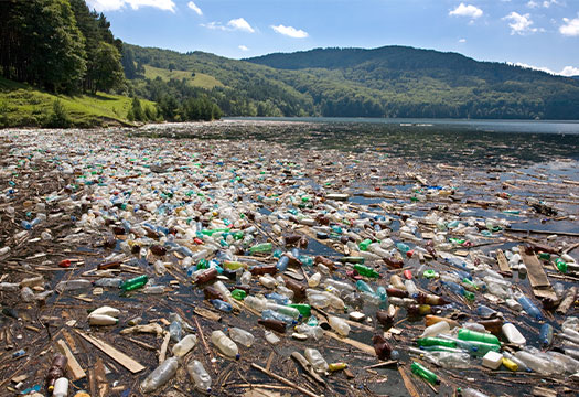 Shocking footage shows Serbian lake completely covered in garbage